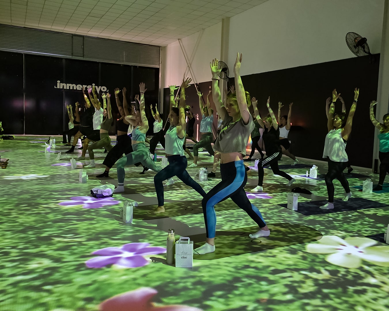 Proyección inmersiva del elemento Tierra en la clase de yoga en Atmos, La Plata.